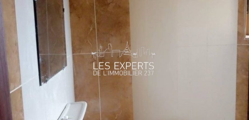 A Nkoldongo Un Appartement Très Haut standing à louer