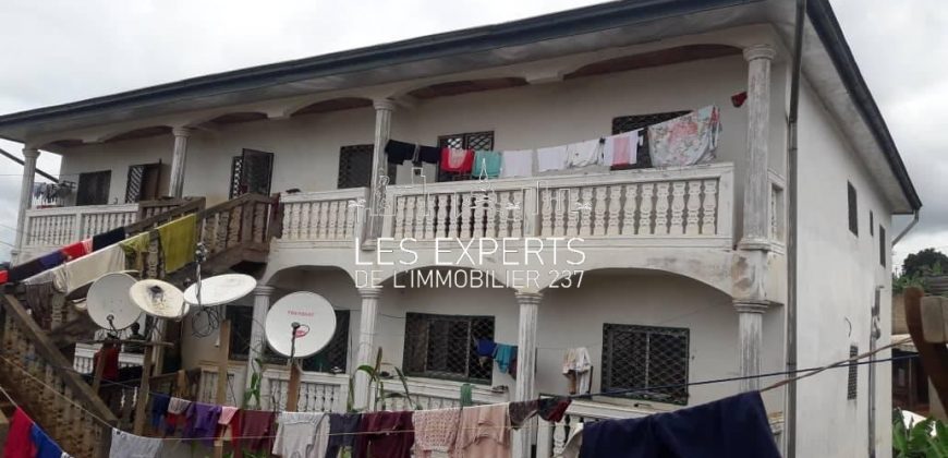 Immeuble R+2 a vendre A Mendong