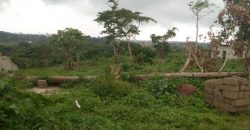 Terrain Titré à Tsinga-Village