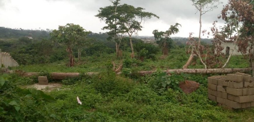 Terrain Titré à Tsinga-Village