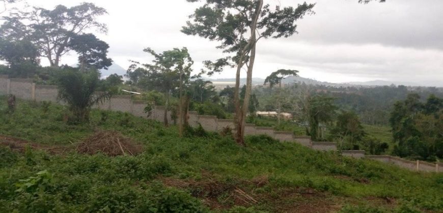 Terrain Titré à Tsinga-Village