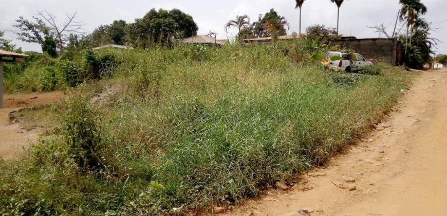 Très Belle Opportunité de terrain à vendre à Petit Marché Odza-Gendarmerie