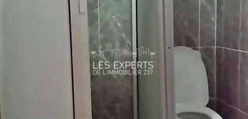 Une Somptueuse Villa à Louer au quartier Fouda