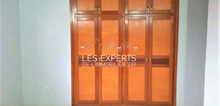 Une Somptueuse Villa à Louer au quartier Fouda