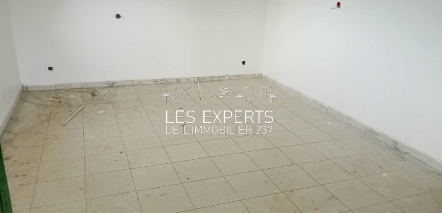 Somptueux Duplex à Louer à la Cité-Verte