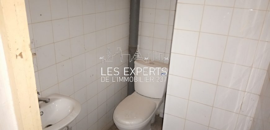 Somptueux Duplex à Louer à la Cité-Verte