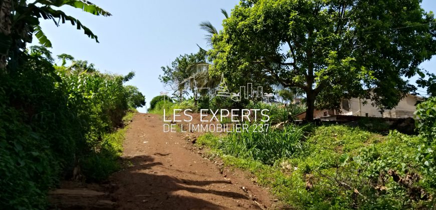 A Leboudi opportunité de Terrain à ne pas rater