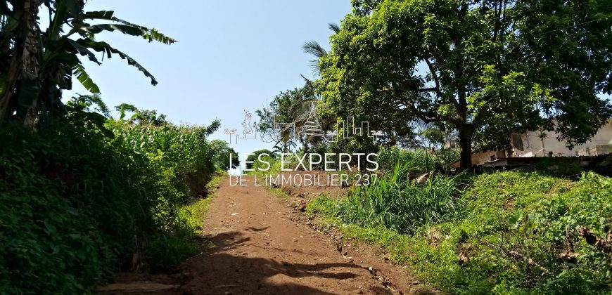 A Leboudi opportunité de Terrain à ne pas rater