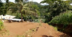 A Leboudi opportunité de Terrain à ne pas rater