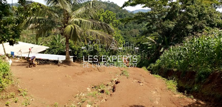 A Leboudi opportunité de Terrain à ne pas rater