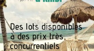 Il est temps d’investir à KRIBI