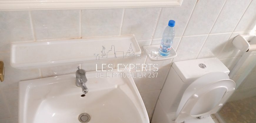 À Bastos Un Somptueux Duplex avec Piscine à louer