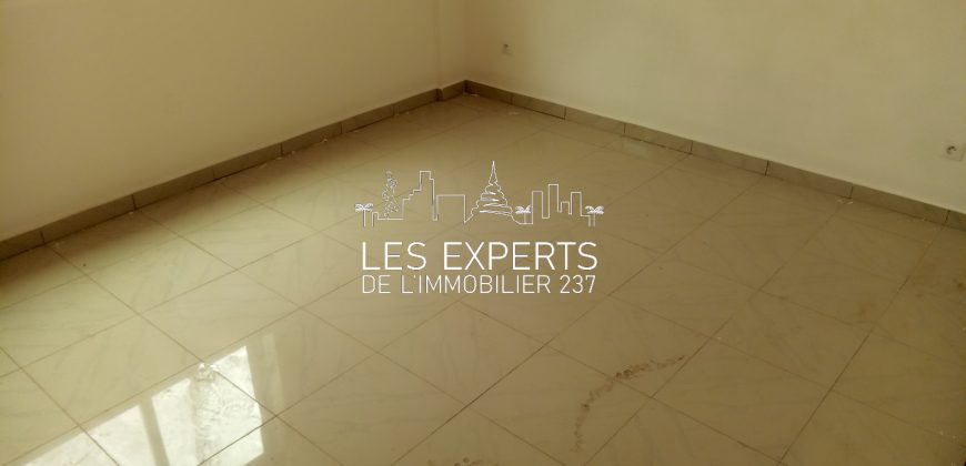 Au Carrefour Bastos Un Appartement Haut Standing à Louer