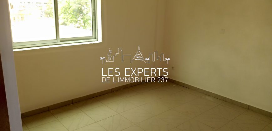 Au Carrefour Bastos Un Appartement Haut Standing à Louer