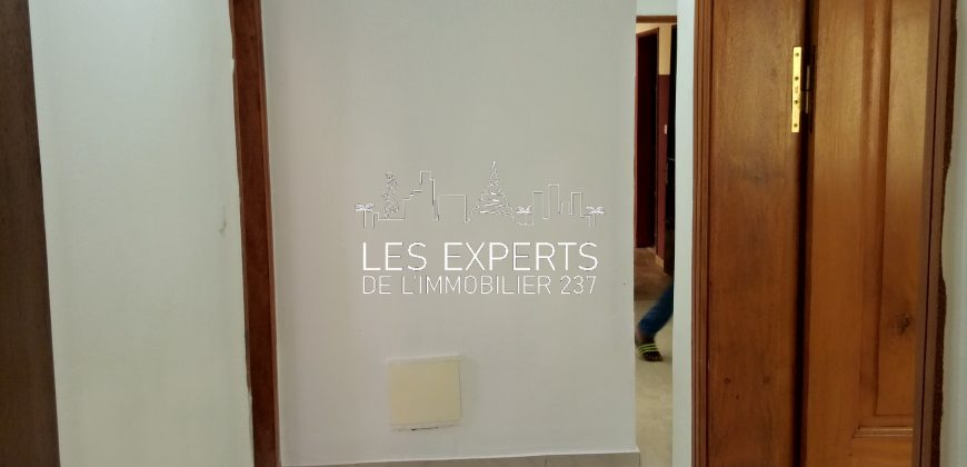 Au Carrefour Bastos Un Appartement Haut Standing à Louer