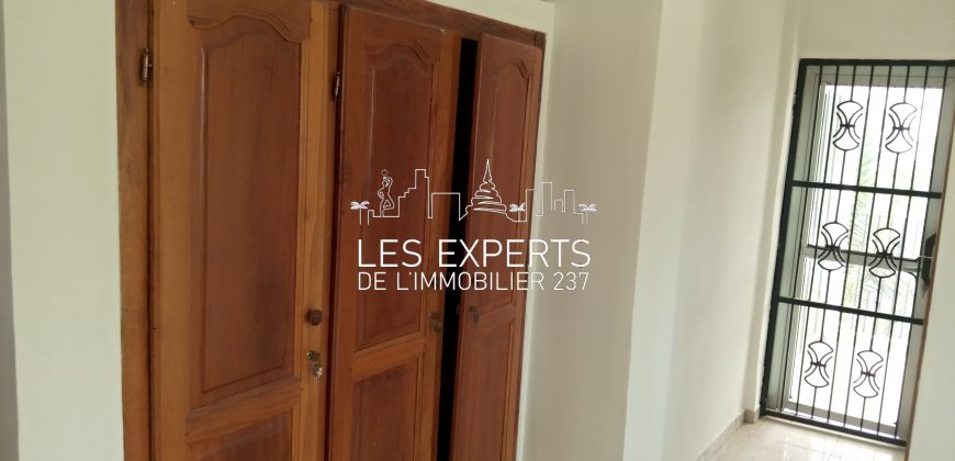 Au Carrefour Bastos Un Appartement Haut Standing à Louer