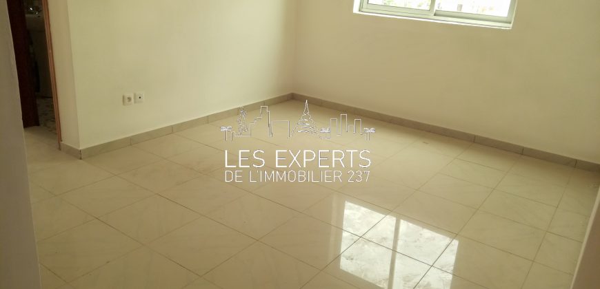 Au Carrefour Bastos Un Appartement Haut Standing à Louer