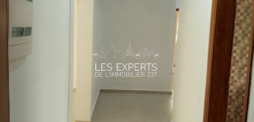 Au Carrefour Bastos Un Appartement Haut Standing à Louer