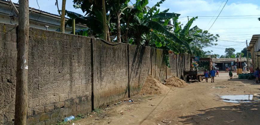 Somptueuse Villa à Louer Douala à Logbessou