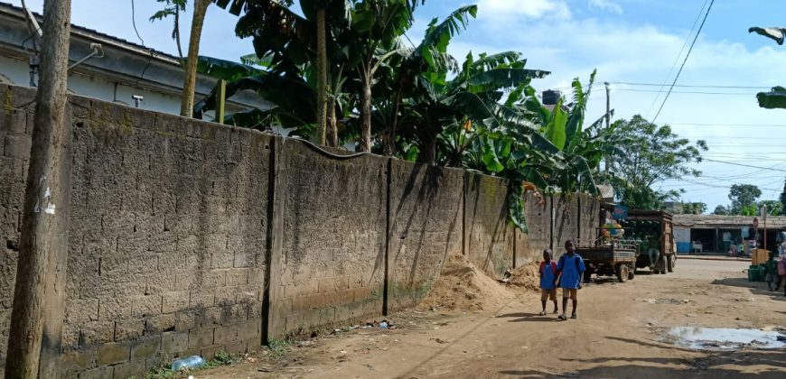 Somptueuse Villa à Louer Douala à Logbessou