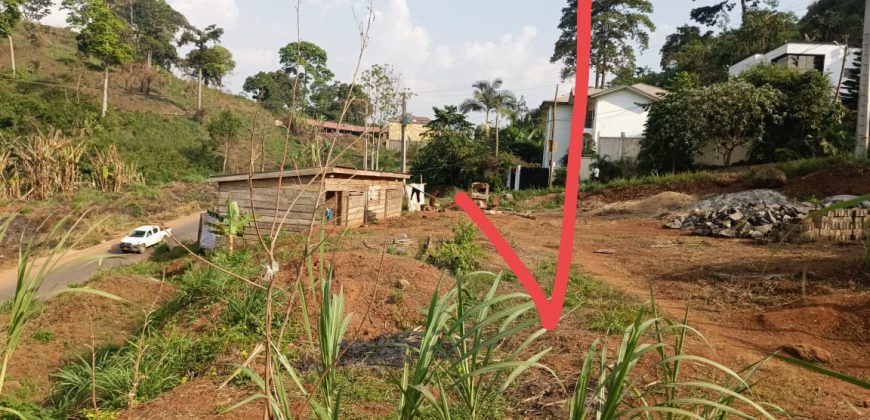 Magnifique Terrain d’Angle à Vendre au Golf Parcours Vita Yaoundé