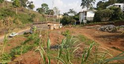 Magnifique Terrain d’Angle à Vendre au Golf Parcours Vita Yaoundé