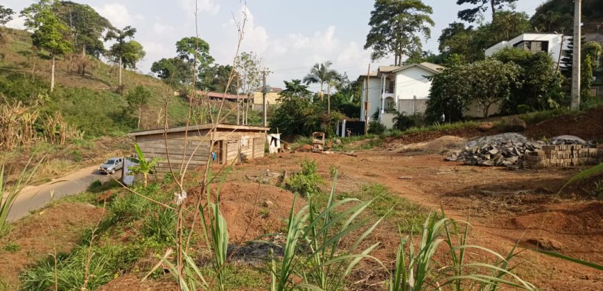 Magnifique Terrain d’Angle à Vendre au Golf Parcours Vita Yaoundé