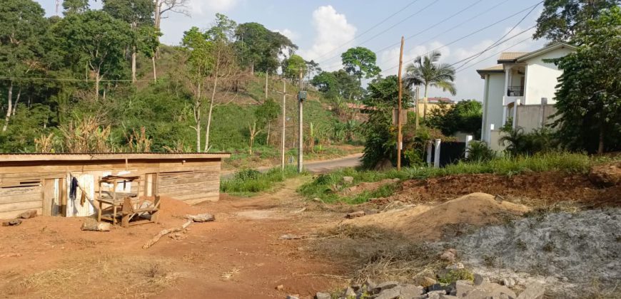 Magnifique Terrain d’Angle à Vendre au Golf Parcours Vita Yaoundé