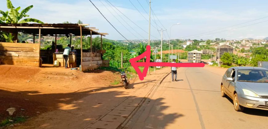 Terrain Commercial de 1000m² donnant sur trois vois à Vendre au Carrefour Tsinga-Village