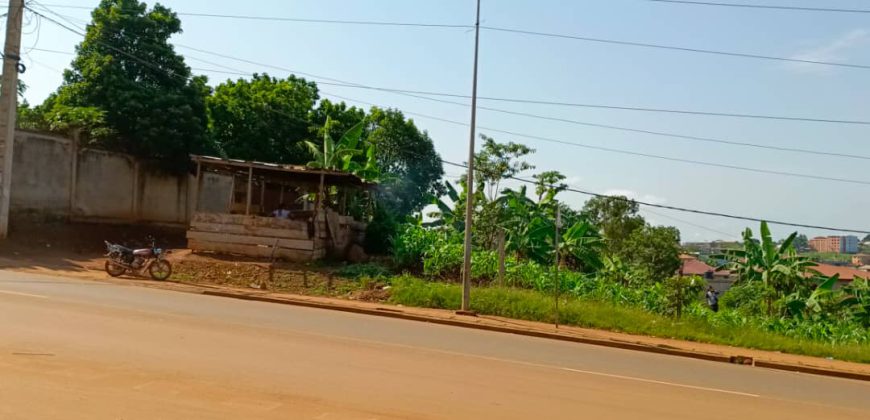 Terrain Commercial de 1000m² donnant sur trois vois à Vendre au Carrefour Tsinga-Village