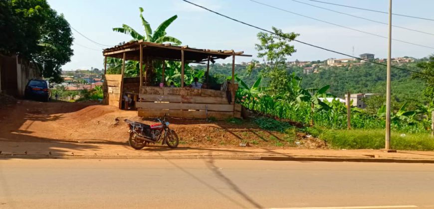 Terrain Commercial de 1000m² donnant sur trois vois à Vendre au Carrefour Tsinga-Village