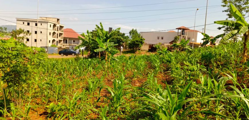 Terrain Commercial de 1000m² donnant sur trois vois à Vendre au Carrefour Tsinga-Village