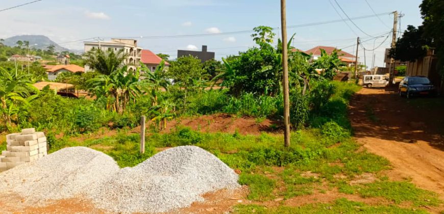 Terrain Commercial de 1000m² donnant sur trois vois à Vendre au Carrefour Tsinga-Village