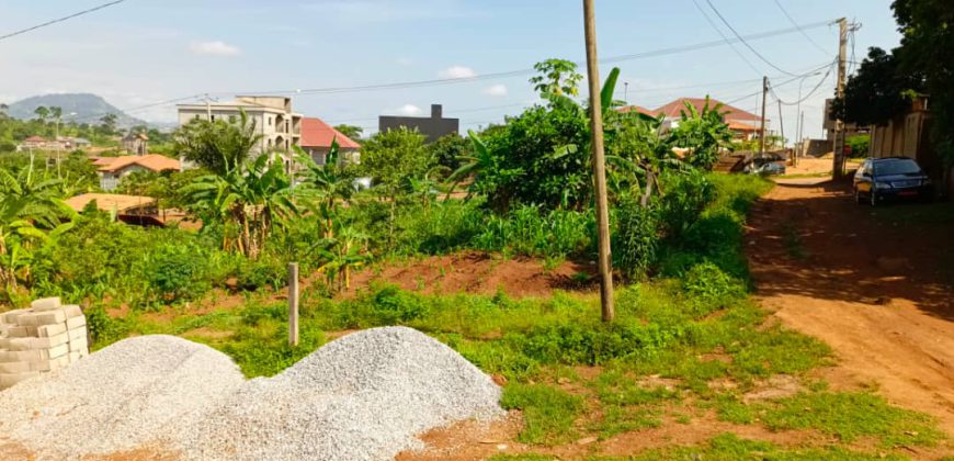 Terrain Commercial de 1000m² donnant sur trois vois à Vendre au Carrefour Tsinga-Village