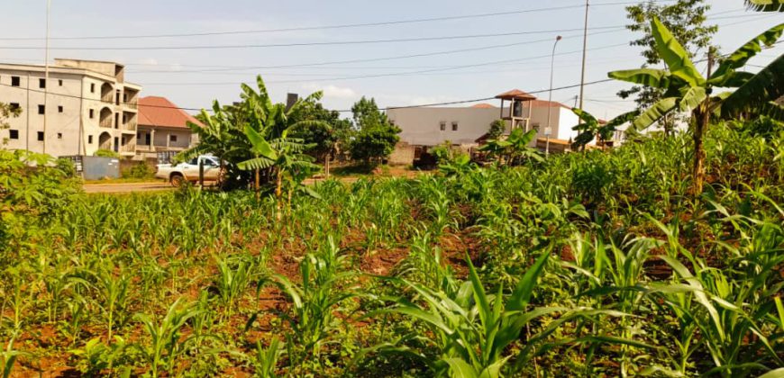 Terrain Commercial de 1000m² donnant sur trois vois à Vendre au Carrefour Tsinga-Village