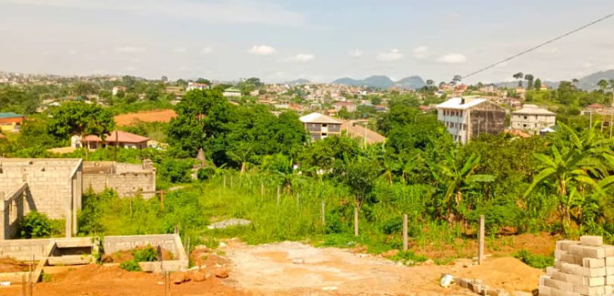 Terrain Commercial de 1000m² donnant sur trois vois à Vendre au Carrefour Tsinga-Village