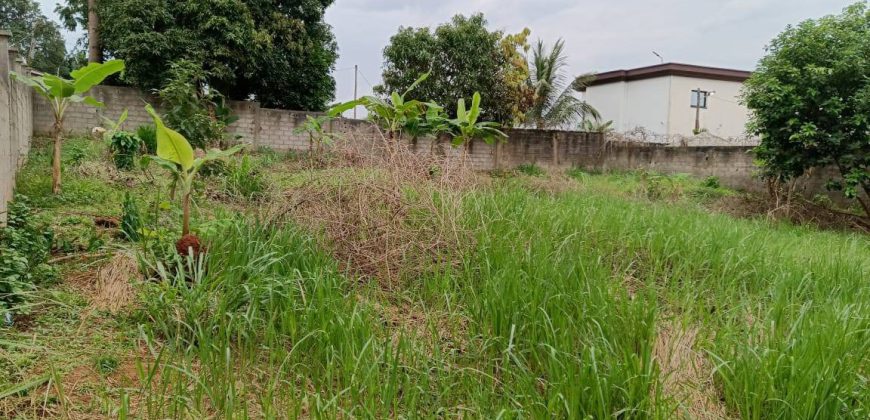 Magnifique Terrain Clôturé à vendre à Odza Fécafoot