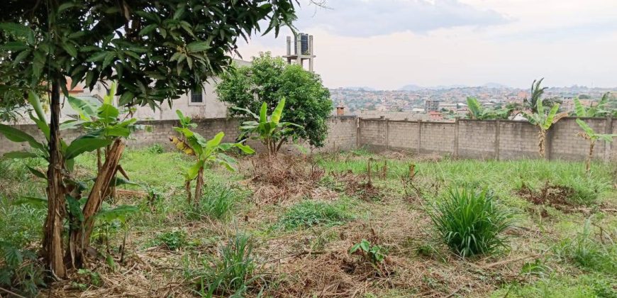 Magnifique Terrain Clôturé à vendre à Odza Fécafoot