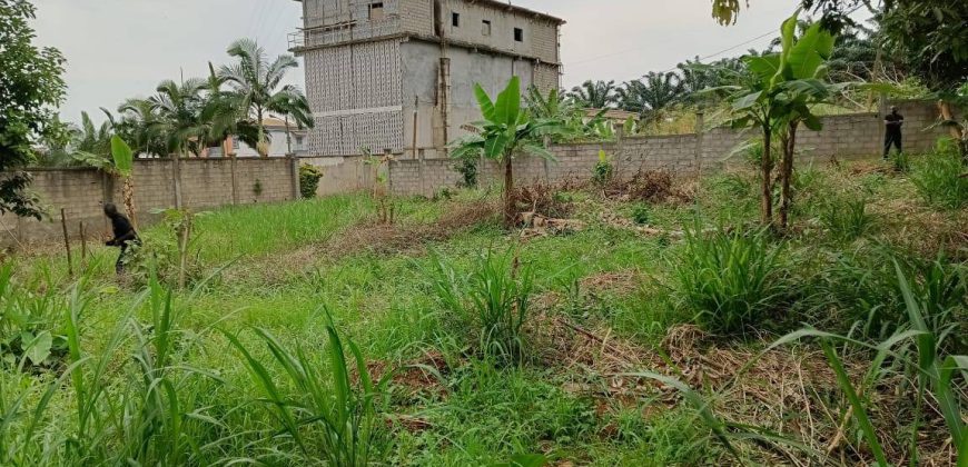 Magnifique Terrain Clôturé à vendre à Odza Fécafoot