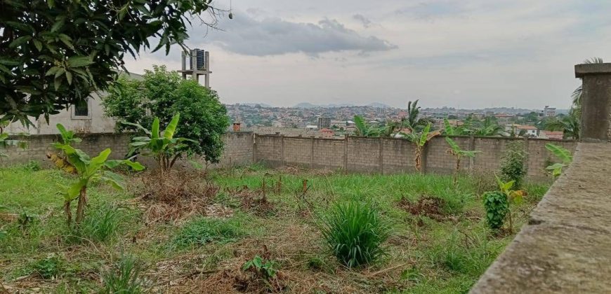 Magnifique Terrain Clôturé à vendre à Odza Fécafoot