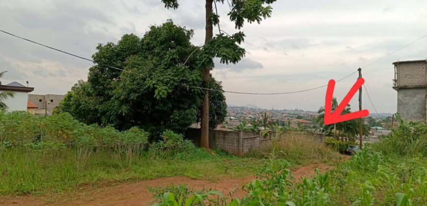 Magnifique Terrain Clôturé à vendre à Odza Fécafoot