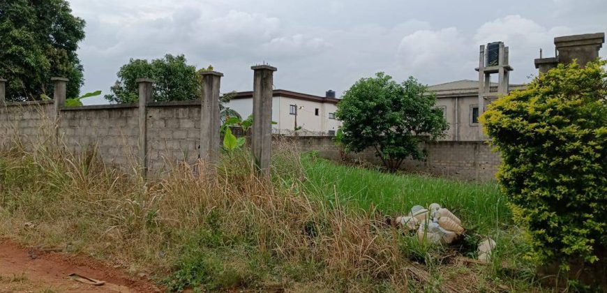 Magnifique Terrain Clôturé à vendre à Odza Fécafoot