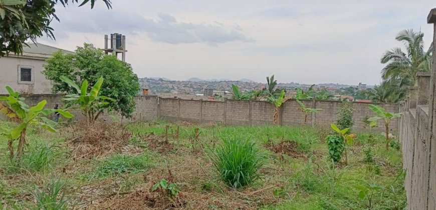 Magnifique Terrain Clôturé à vendre à Odza Fécafoot